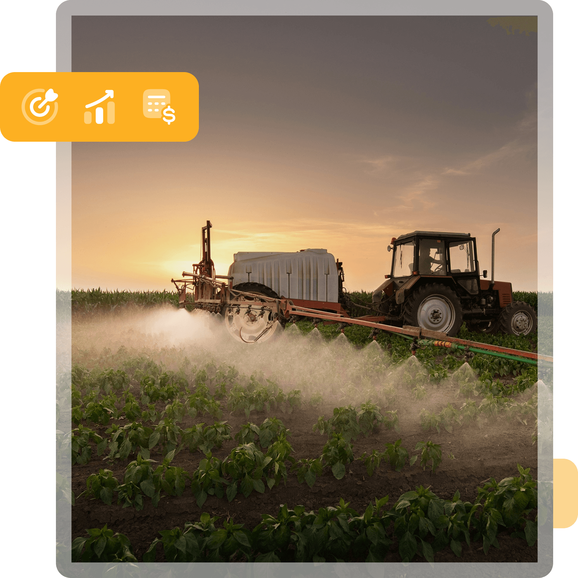 Activities & Reporting